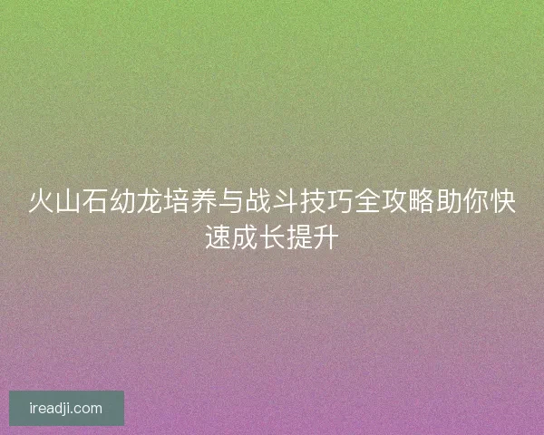 火山石幼龙培养与战斗技巧全攻略助你快速成长提升