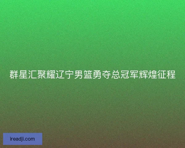 群星汇聚耀辽宁男篮勇夺总冠军辉煌征程 群星汇聚耀辽宁男篮勇夺总冠军辉煌征程